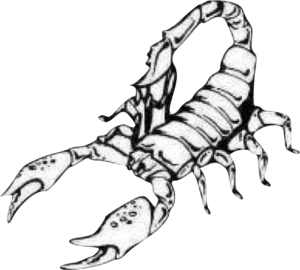 Scorpion System